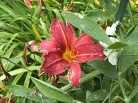 BILD0009.webp