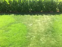 IMG-0886.webp