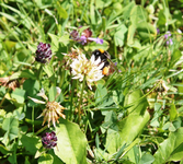 Sonntag 8.webp