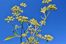 Sonntag 10.webp