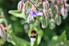 Sonntag 11.webp