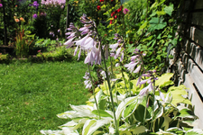 Sonntag 18.webp