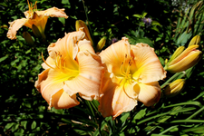Sonntag 16.webp