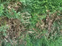 IMG_20180708_194808.webp