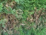 IMG_20180708_194808.jpg
