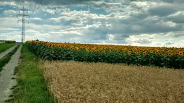 IMG_20180708_171545467_HDR.webp