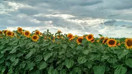 IMG_20180708_171638316_HDR.webp
