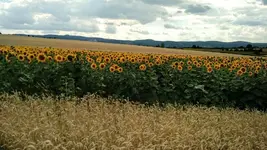 IMG_20180708_172214735.webp