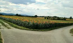 IMG_20180708_173506166.webp