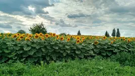 IMG_20180708_174055658_HDR.webp