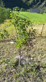 IMG_20180708_183552.jpg