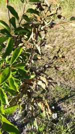 IMG_20180708_183600.jpg