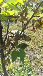 IMG_20180708_183621.webp