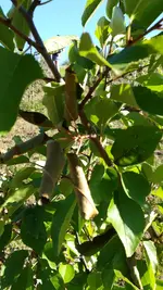 IMG_20180708_183705.jpg