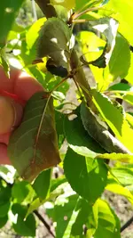 IMG_20180708_183726.jpg