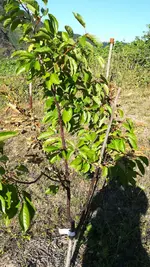 IMG_20180708_183801.jpg