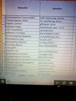 2018-07-09 05.57.52.webp
