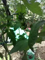 2018-07-08 13.47.40.webp