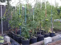 DSC00095.webp