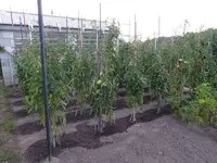 DSC00092.webp
