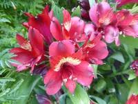 P1100221.webp