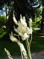 P1100244.webp