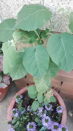 IMG_20180709_165643.webp