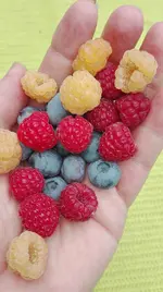 IMG_20180709_162425.webp