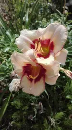 IMG_20180709_165721.webp