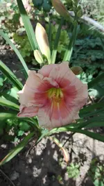 IMG_20180709_165447.webp
