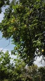 IMG_20180709_170017.jpg