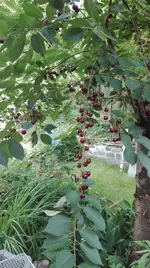 IMG_20180709_165855.webp