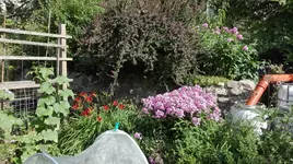 IMG_20180709_165117.webp