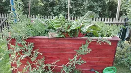 IMG_20180709_164925.webp