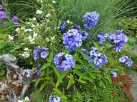 DSCF1611 (2).webp