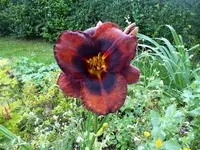DSCF1609 (2).webp