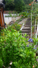 2018-07-10_11-24-48-1.webp