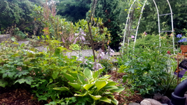 2018-07-10_11-25-33-1.webp