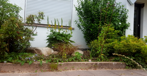 2018-07-10_11-31-00-1.webp