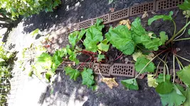 20180710_152218.webp
