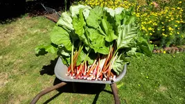 20180710_152127.webp