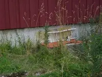 IMGP6457.webp