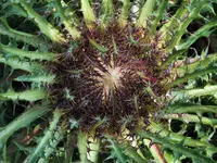 DSCF1626 (2).webp