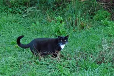 IMG_9804 - Copy.webp