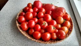 IMG_20180710_152909427_HDR.webp