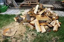 Kirschbaum Rest 3.webp