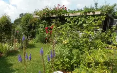 Garten vorher.jpg