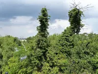 image001.webp