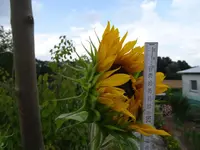 DSC00108.webp