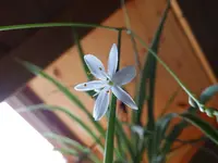 P7110009.webp